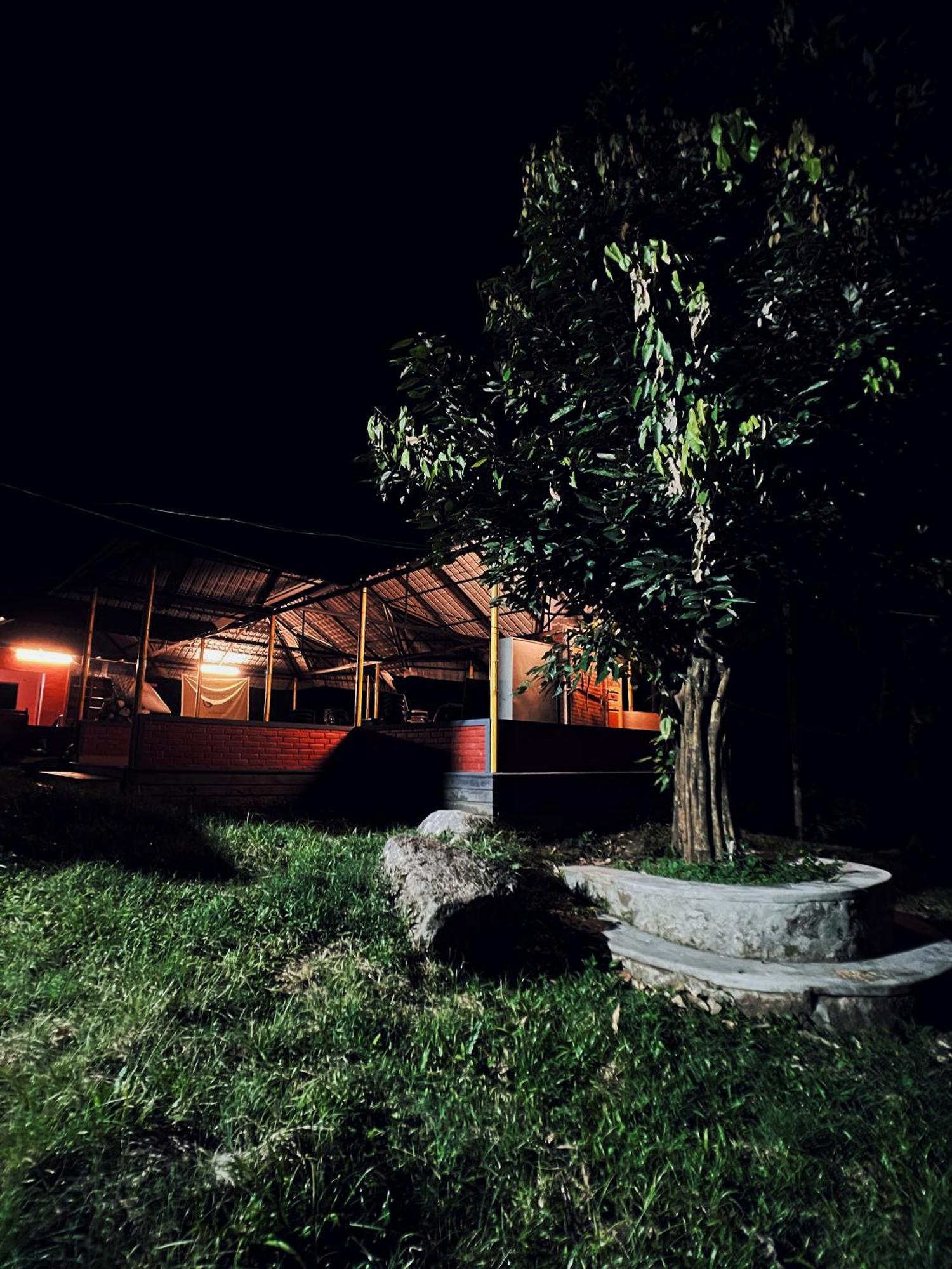Mahout Resort Wayanad - An Experiential Jungle Stay With Waterfall Kalpetta Exterior photo